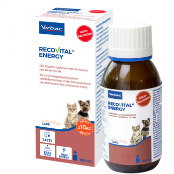 RecoVital Energy Hund/Katze 180ml