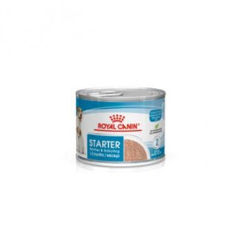 Royal Canin Starter Ultra Soft Mousse 12x195g