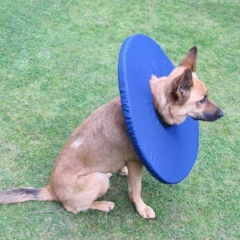 Tepaw Leckschutz Gr. XL (6)