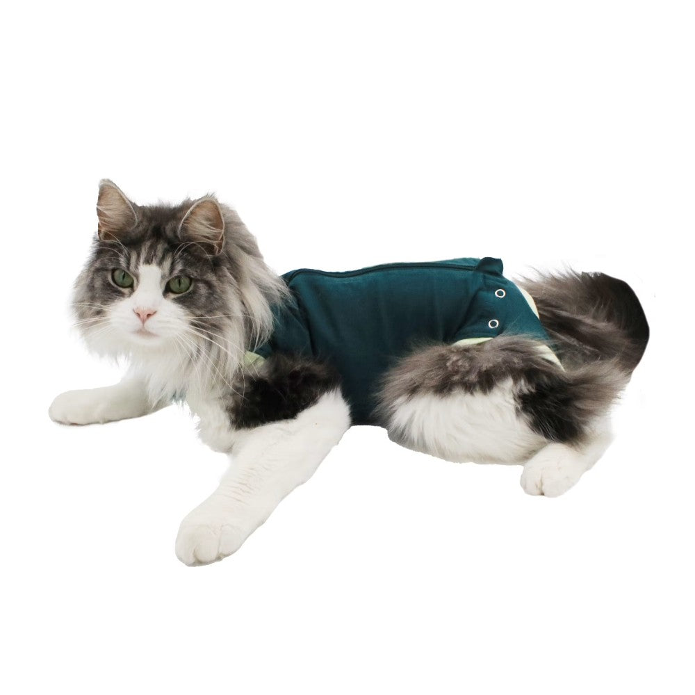 Vetnordic Schutzanzug / Body Katze