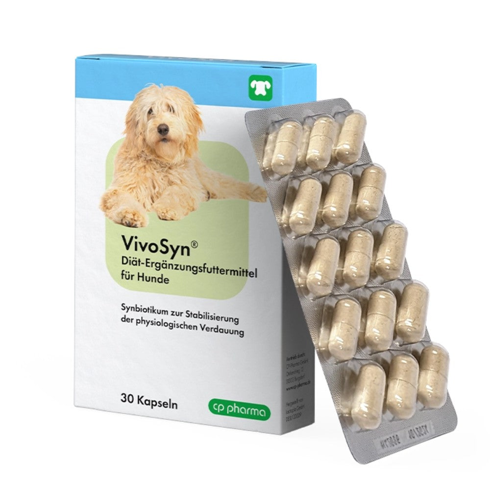 VivoSyn 30 Kapseln